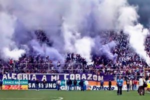 Catálogo, Bombas de Humo de Color para su Equipo de Fútbol Favorito