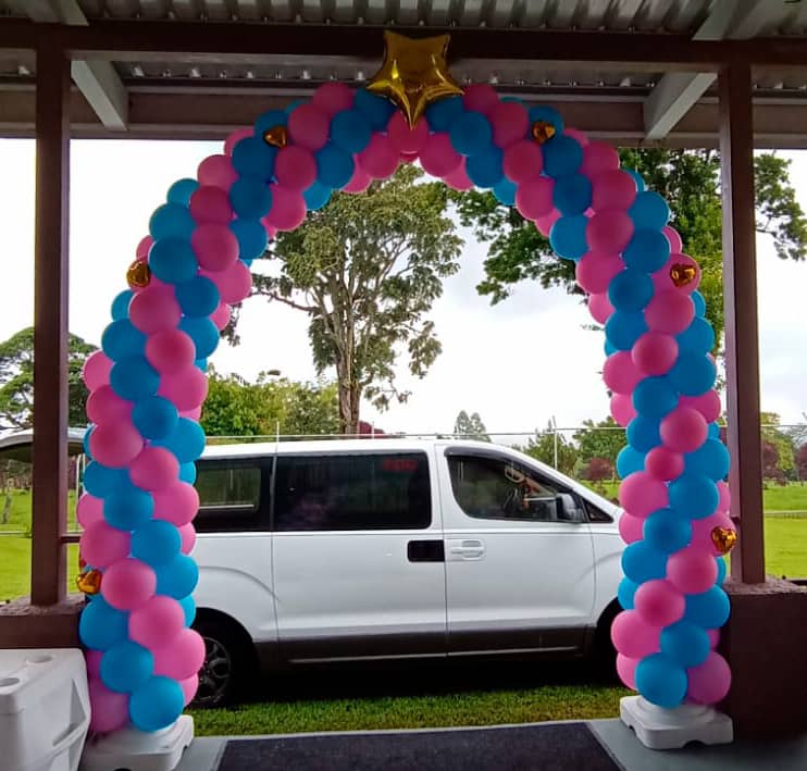 Decoración 10 Para Revelación De Sexo Del Bebé