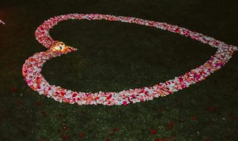 Corazón De Pétalos De Rosa Para Propuestas De Matrimonio